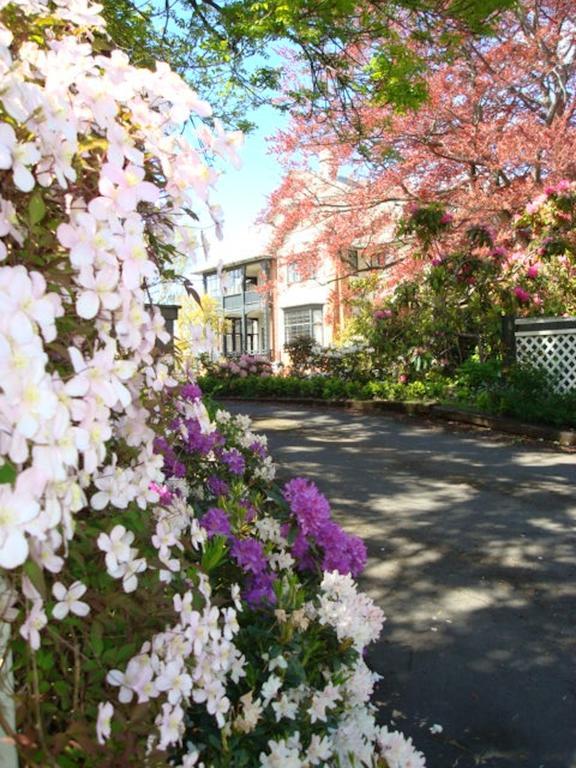 Heriot Lane City Apartments Dunedin Eksteriør bilde