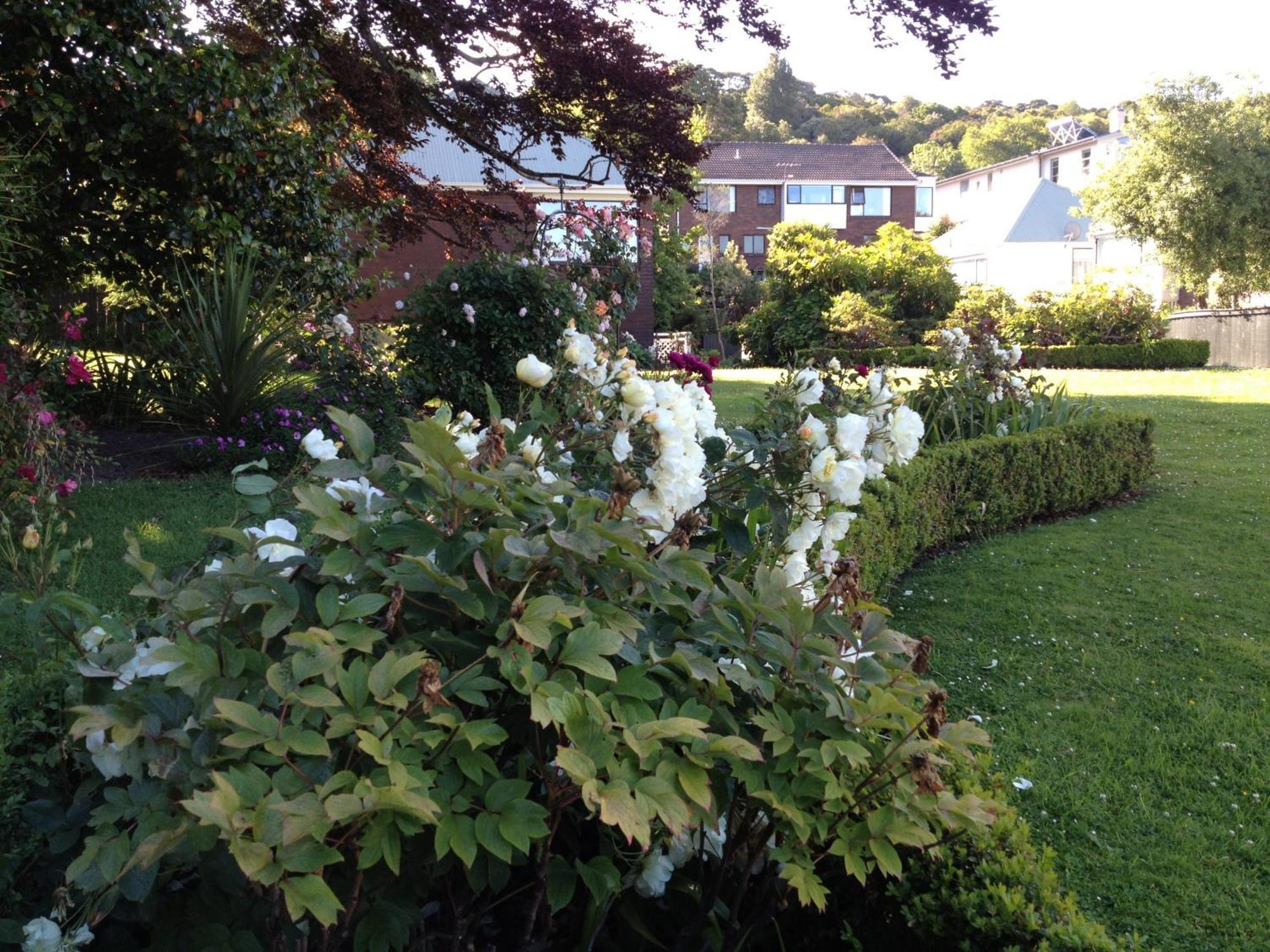Heriot Lane City Apartments Dunedin Eksteriør bilde