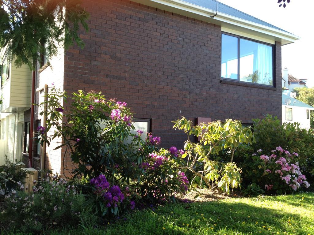 Heriot Lane City Apartments Dunedin Rom bilde