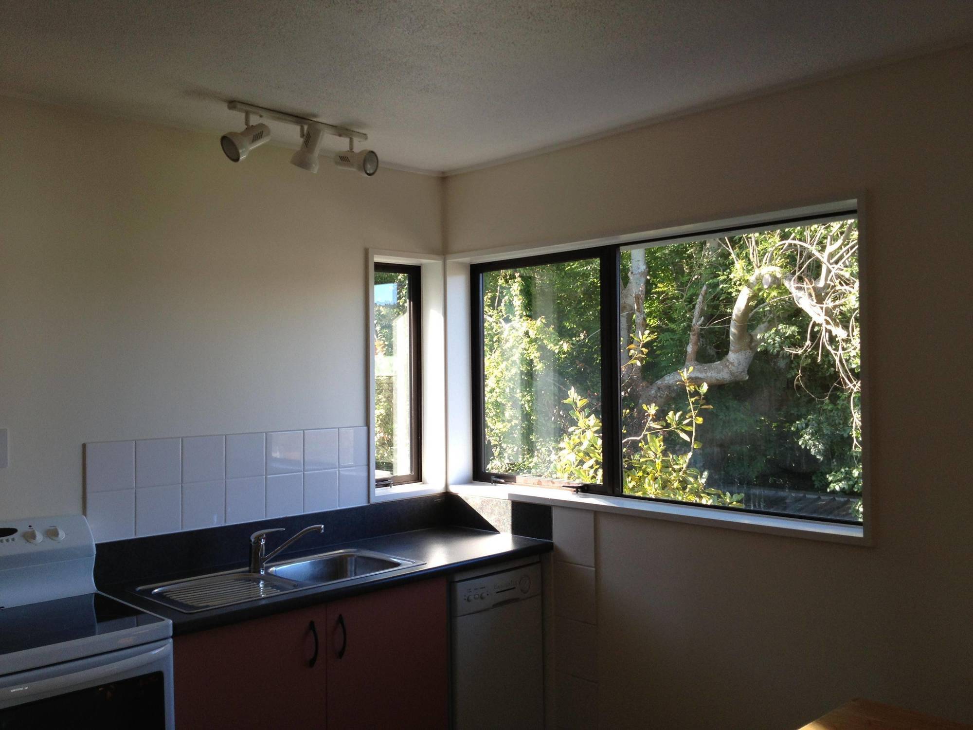 Heriot Lane City Apartments Dunedin Eksteriør bilde
