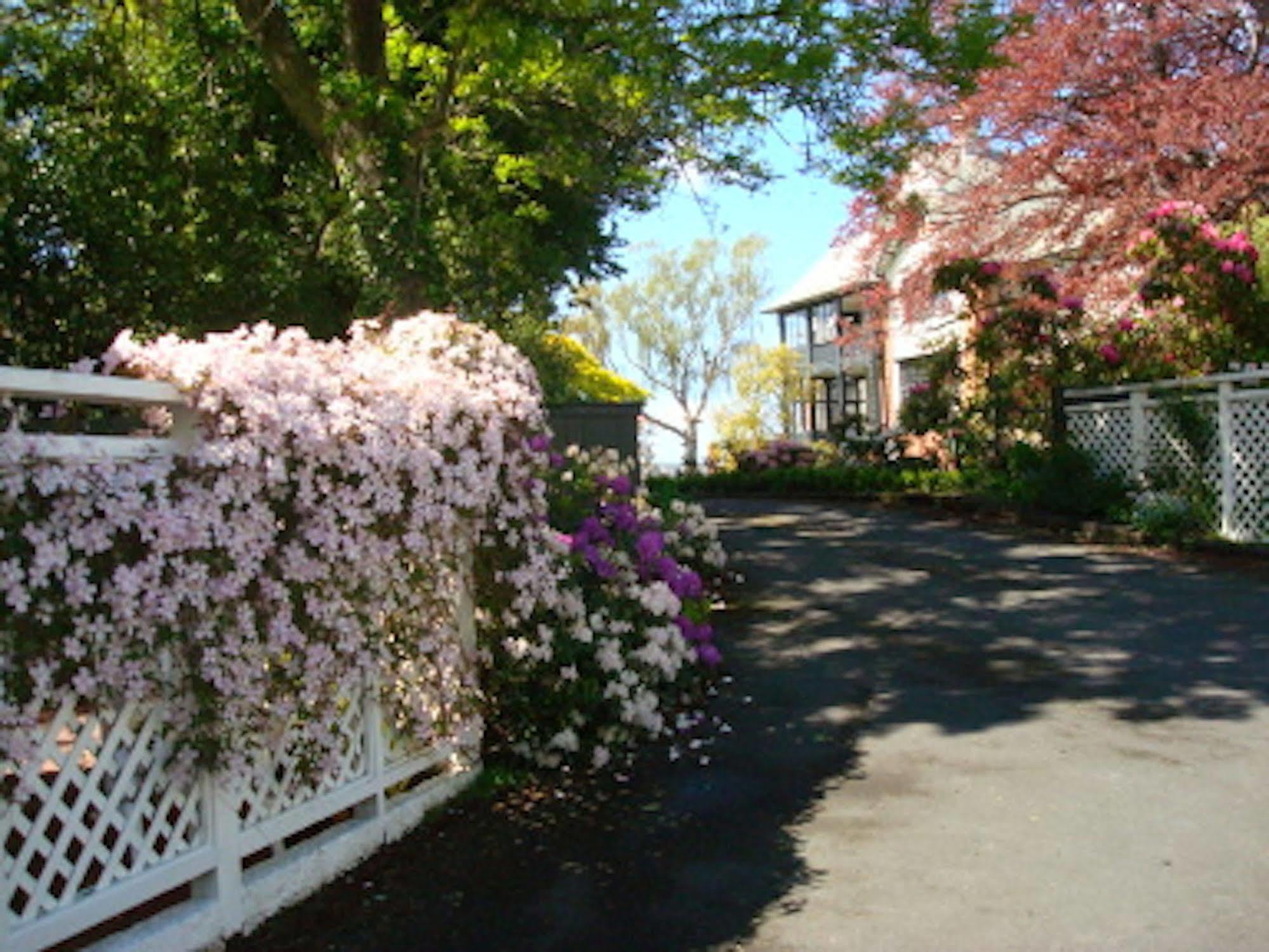 Heriot Lane City Apartments Dunedin Eksteriør bilde