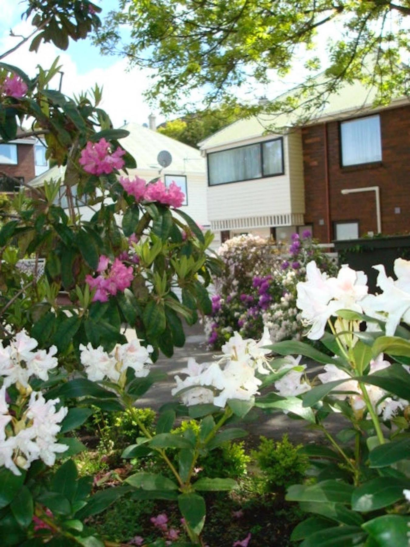 Heriot Lane City Apartments Dunedin Eksteriør bilde